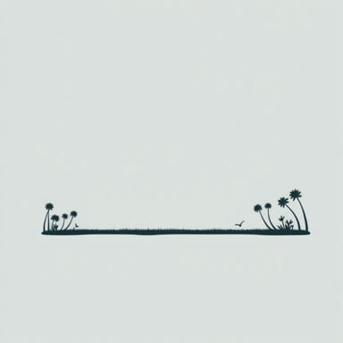 Facts About The Everglades