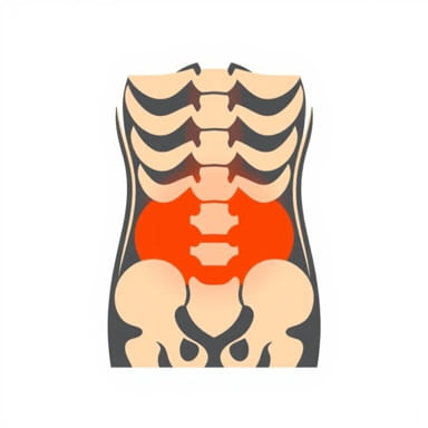 Faire Passer Un Lumbago