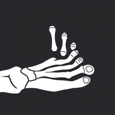 Great Toe Distal Phalanx Fracture