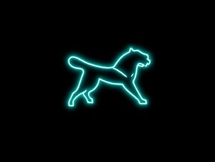 Puma Electrify Nitro 3 Knit