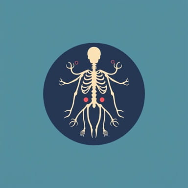 Sle Systemic Lupus Erythematosus