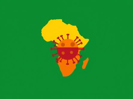 The Zaire Ebola Virus