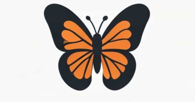 A Butterfly In The Pupa Stage Is A