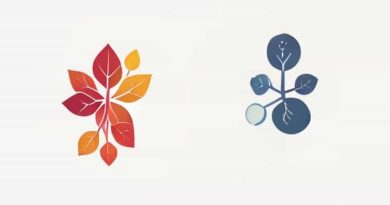 A Diagram Of Photosynthesis And Cellular Respiration