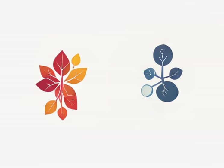 A Diagram Of Photosynthesis And Cellular Respiration