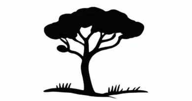 A Fazenda Raquel Brito