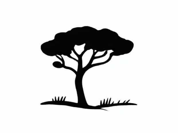 A Fazenda Raquel Brito