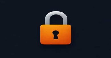 A Password Hint Meaning