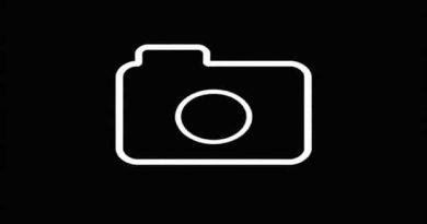 A Portfolio Should Demonstrate Which Of The Following