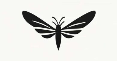 A Small Wingless Insect