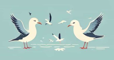 A Squabble Of Seagulls