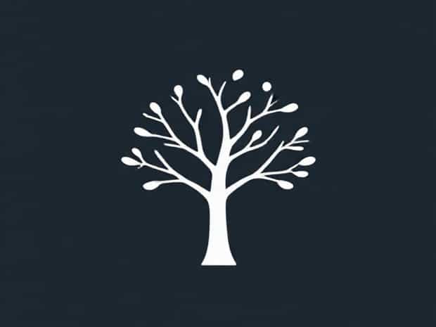 A Tree That Has A Whitish Trunk