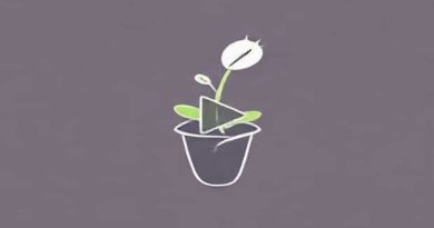 A Video Of A Venus Flytrap