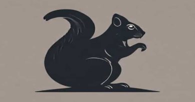 About Indian Giant Squirrel