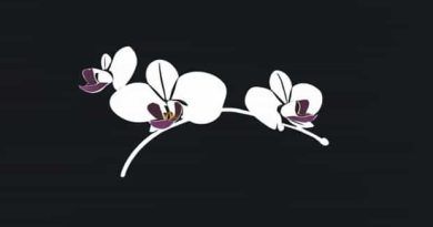 About Orchid International School