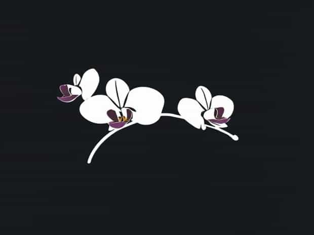 About Orchid International School