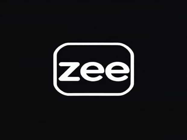 About Zee Entertainment Share