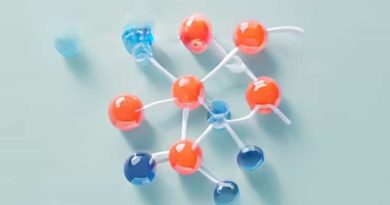 Adsorption Method Of Enzyme Immobilization
