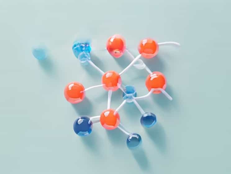 Adsorption Method Of Enzyme Immobilization