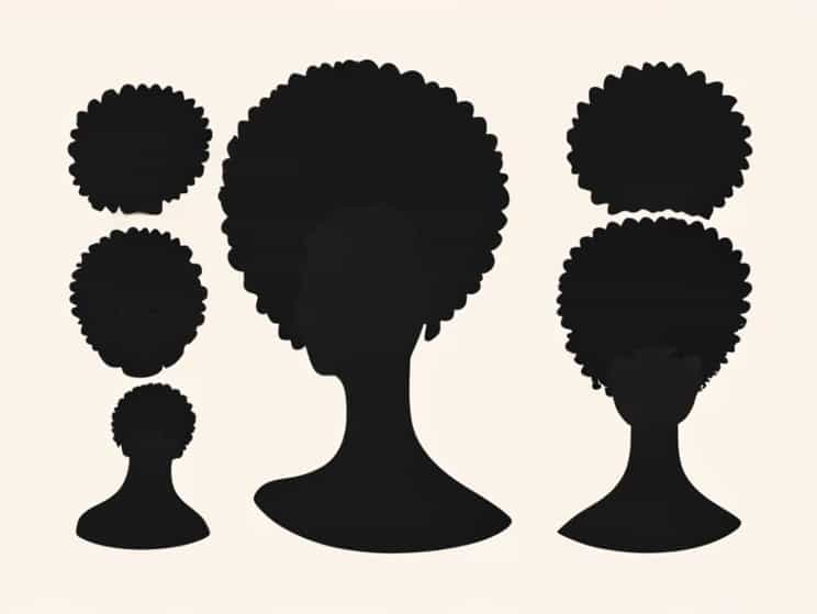 Afro Kinky Hairstyles Pictures