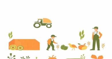 Agriculture And Agri-Food Occupations