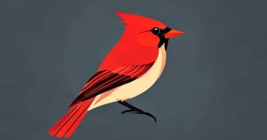 All About Birds Scarlet Tanager
