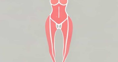 Anatomy Of Perineum Female