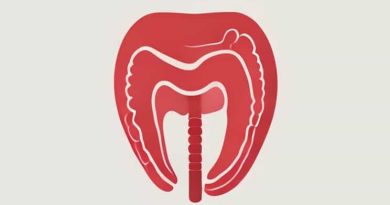 Anatomy Of Rectum And Anal Canal