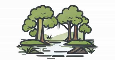 Arbor Landing Mill Bayou