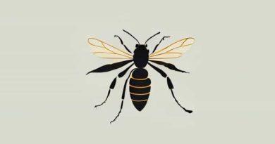 Are Ants Wingless Wasps