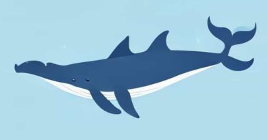 Are Blue Whales Blue