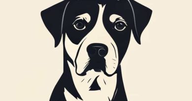 Are Jack Russells Hard To Housebreak