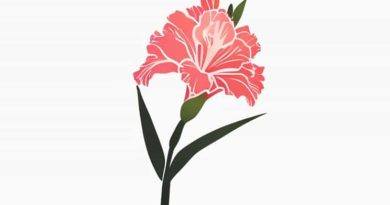 August Birth Flower Gladiolus