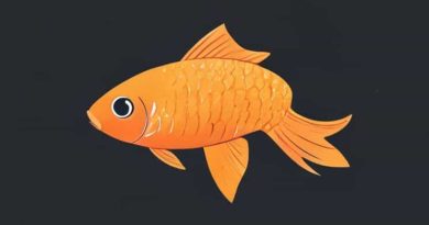 Average Cost Of Carpeting A Room