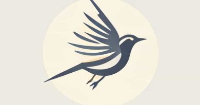 Avian X Motion Decoy