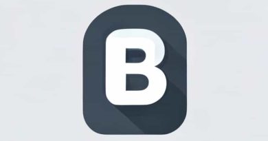 B1 B2 Non Immigrant Visa