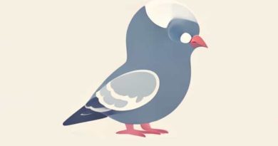 Baby Pigeon Called Squab