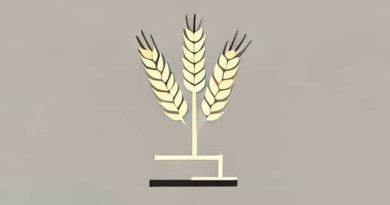 Balanced Wheatstone Bridge Questions