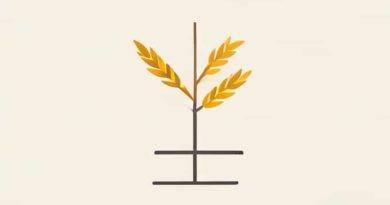 Balancing Condition Of Wheatstone Bridge