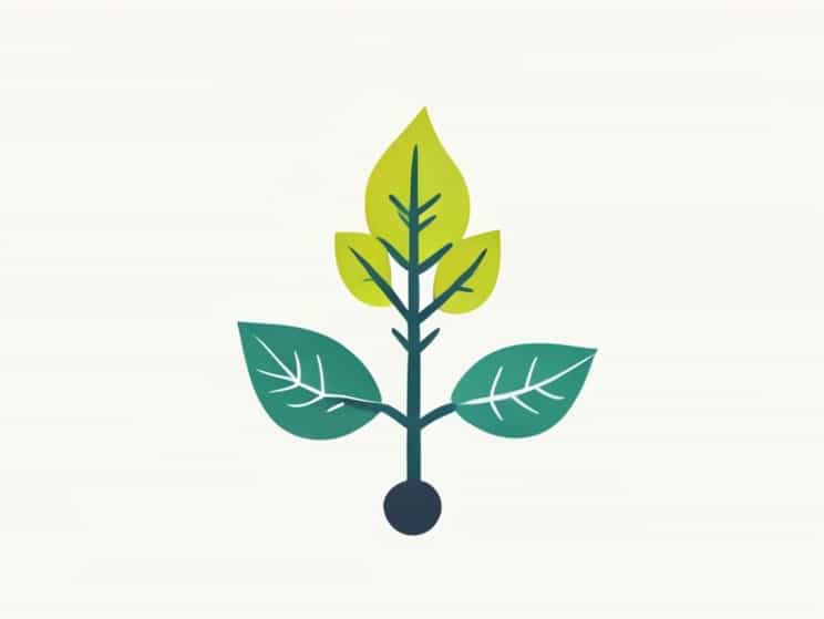 Bank Of Biology Photosynthesis In Higher Plants