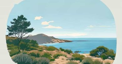 Banks Peninsula Scrubby Bay