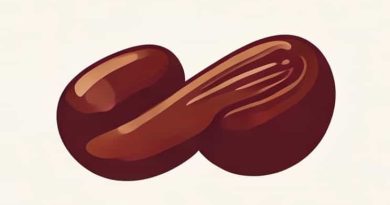 Beans From Even Stevens Now