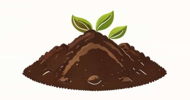 Bearing Capacity Of Clayey Soil