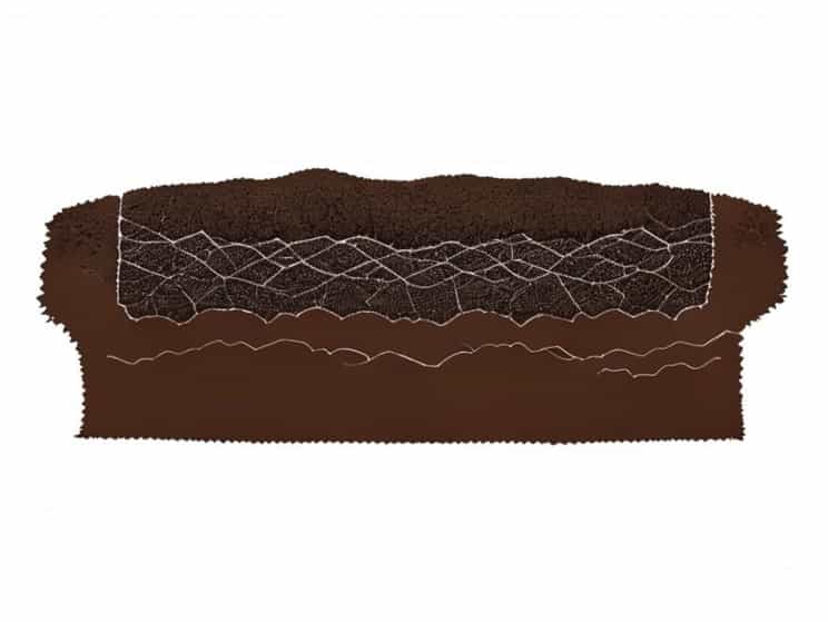 Bearing Capacity Of Clayey Soil Reinforced With Geogrid
