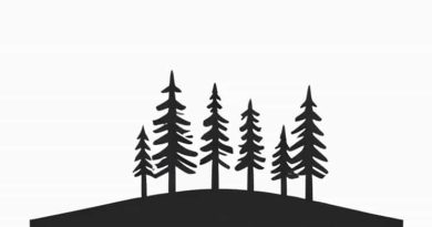 Beeline For The Treeline