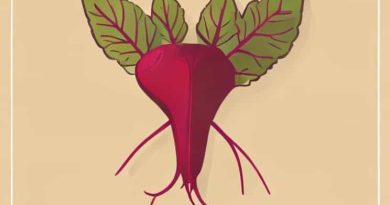 Beeton'S Dictionary Of Universal Information