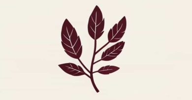 Benefits Of Devil'S Horsewhip Herb