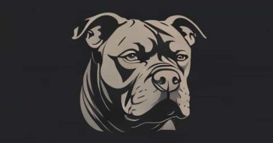 Best Age To Neuter Xl Bully