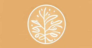 Best Products For Sebaceous Filaments