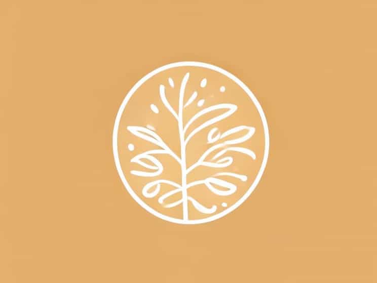 Best Products For Sebaceous Filaments